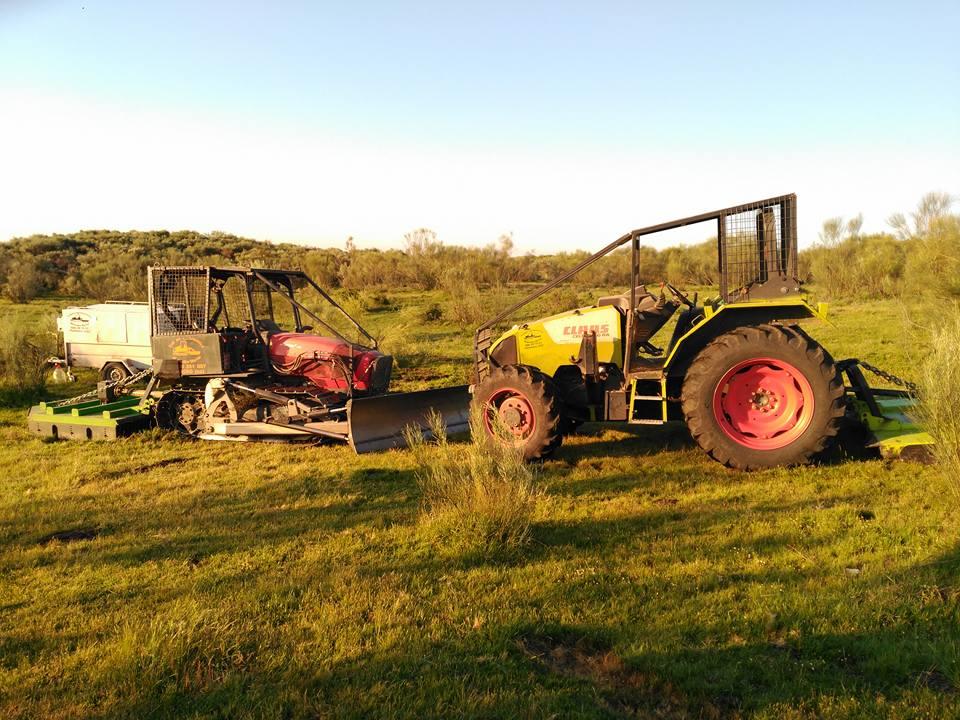 Imagen Trabajos Agroforestales Alejandro Martin